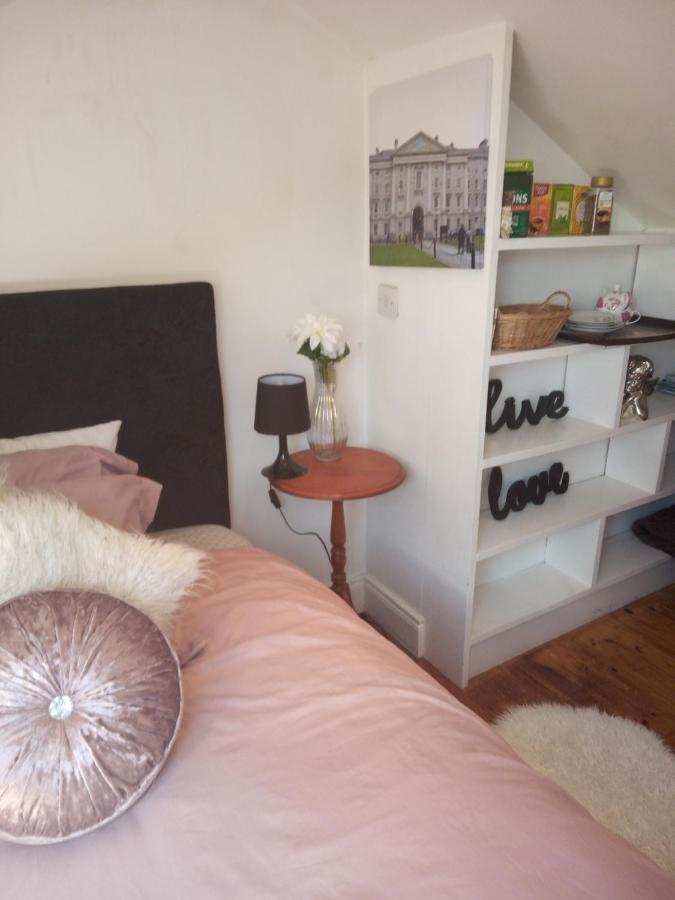 A Cosy Dublin Room Bagian luar foto